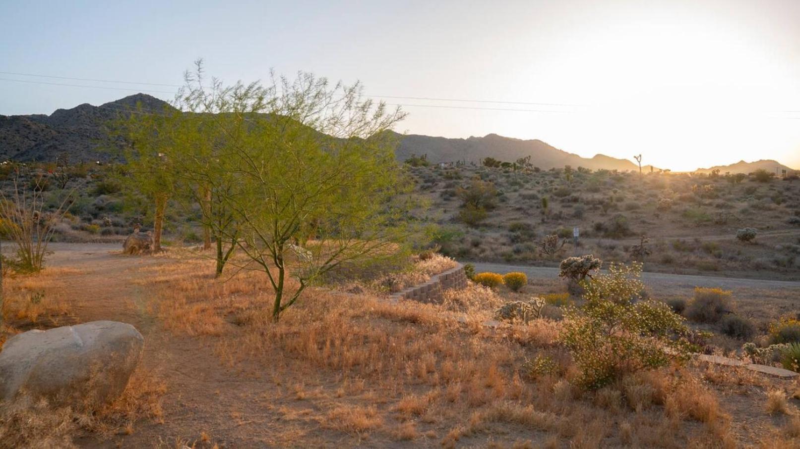 Experience Desert Serenity Gateway To Джошуа Три Екстериор снимка